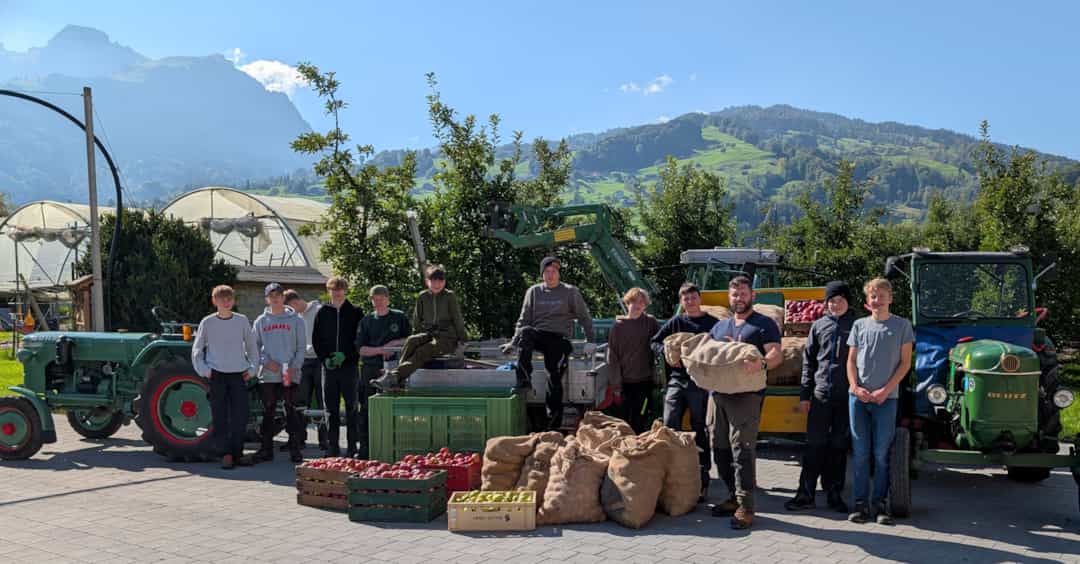 Moschta mti Hernn Hermann 